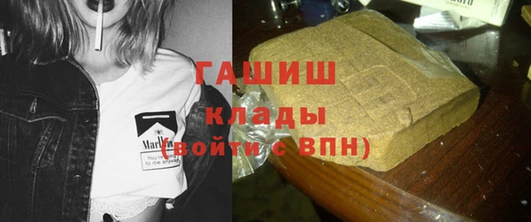гидропоника Горняк