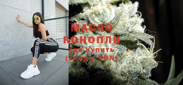 гидропоника Горняк