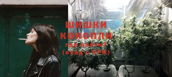 гидропоника Горняк