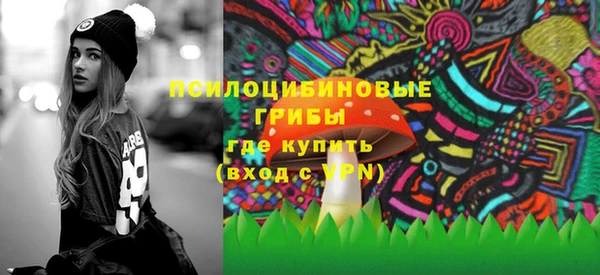 гидропоника Горняк