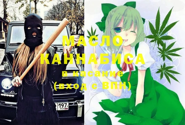 гидропоника Горняк