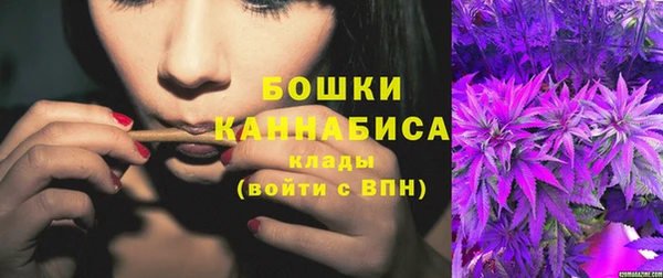 гидропоника Горняк