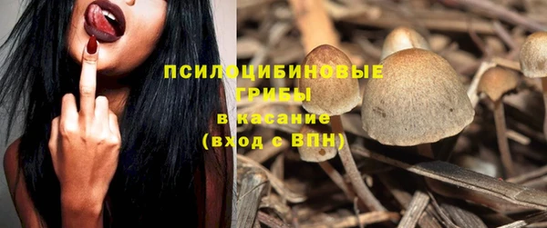 таблы Гусиноозёрск
