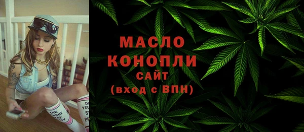 гидропоника Горняк